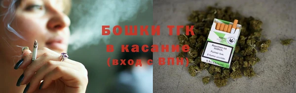 сатива Лагань
