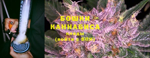 трава Лабытнанги