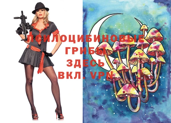 сатива Лагань
