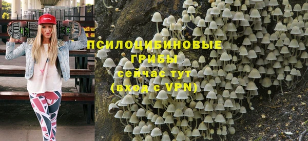 сатива Лагань