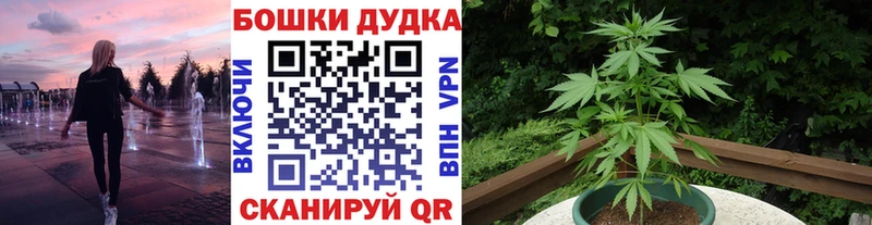 Марихуана планчик  Купить закладки  Черкесск 